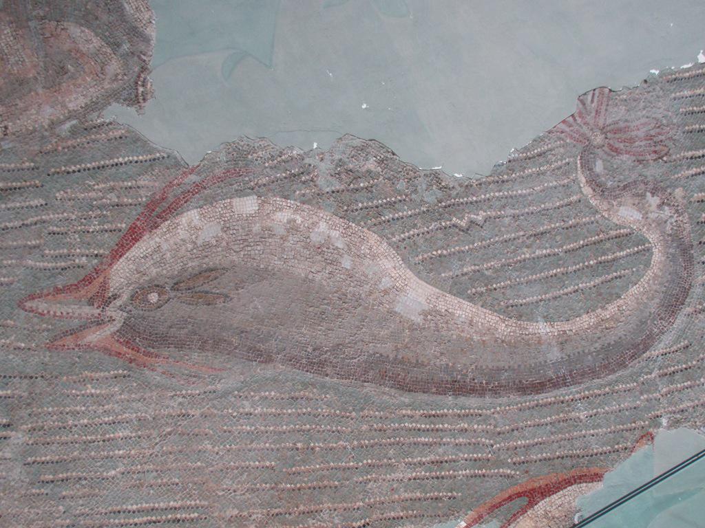 Musée national du Bardo